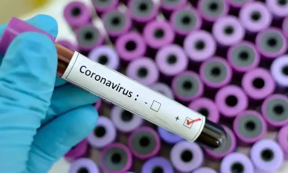 coronavirus