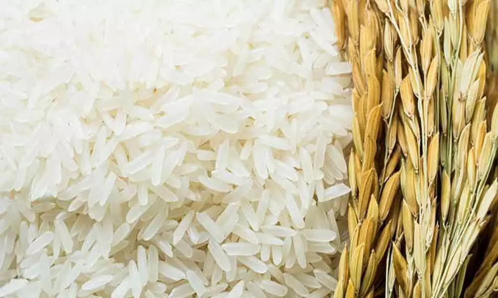 Andhra govt to begin trial of door delivery of quality rice on Monday