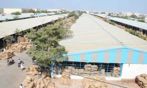 Guntur Mirchi Yard resumes operations