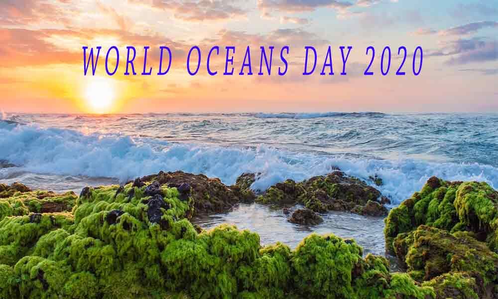 World Oceans Day Theme History And Significance