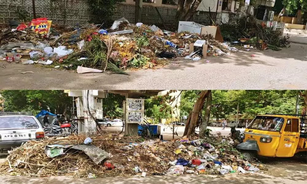 Garbage pile-ups spread scare among public