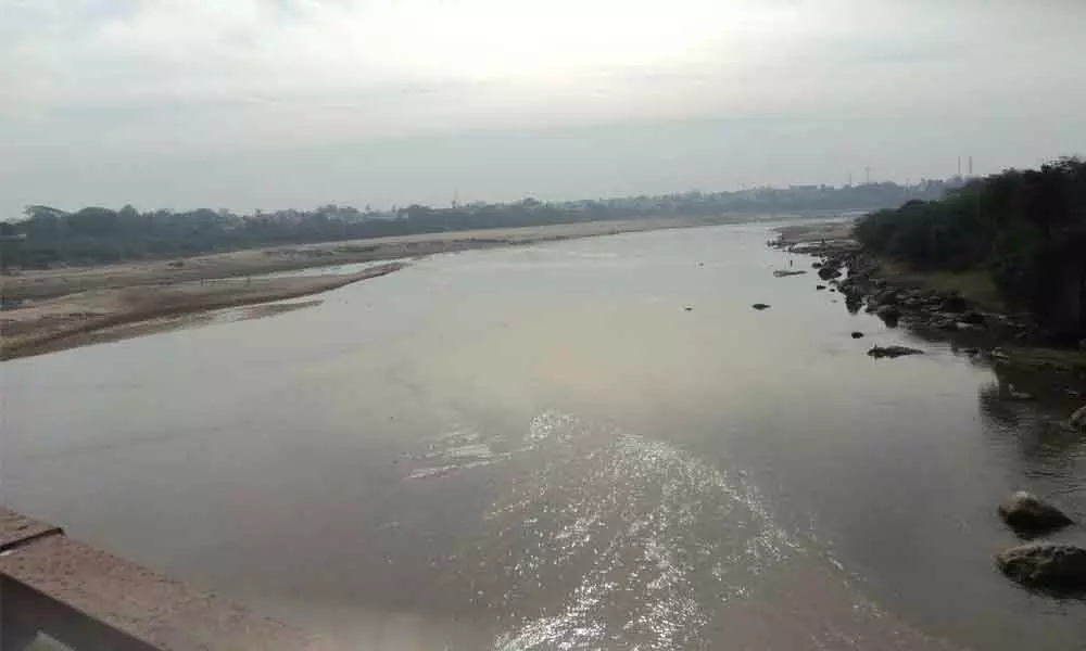 Nagavali river
