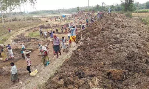 Vizianagaram district records highest number of MGNREGS workdays