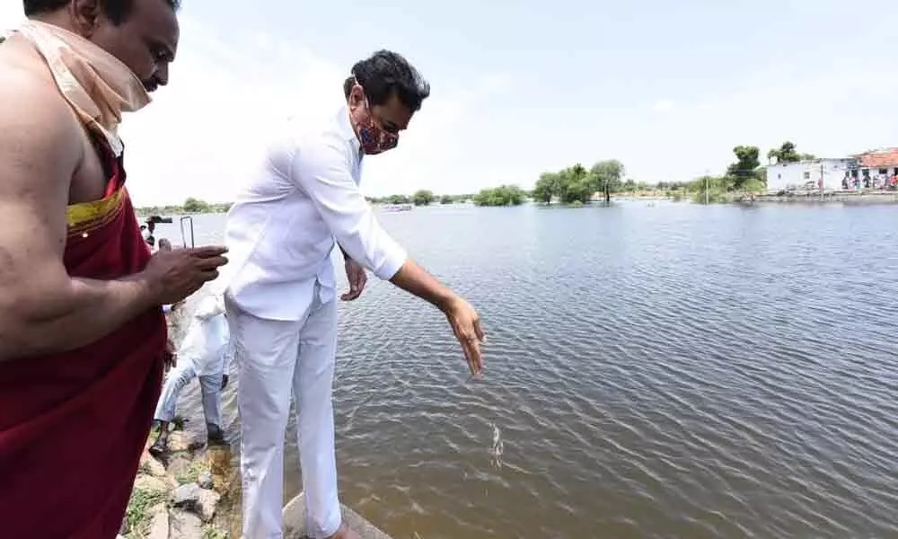 KTR performs Jala Harathi as Godavari water reach Sircilla
