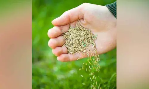 Representational Pic