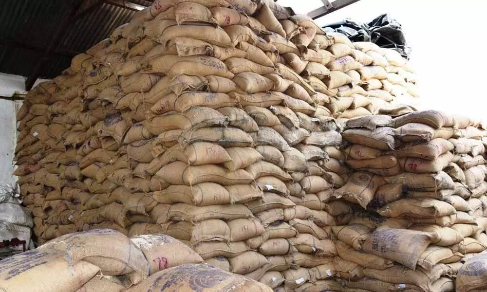 Seed stock at a warehouse in Srikakulam district
