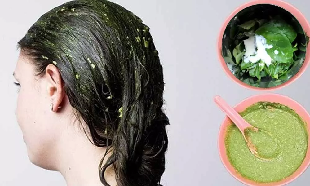 Own A Healthy Mane With Hibiscus And Mint Hair Pack