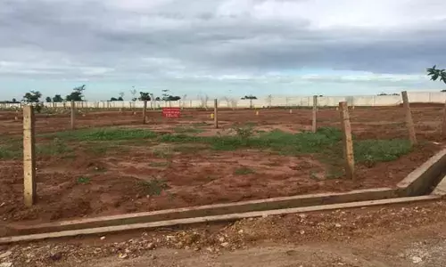 Representational Pic