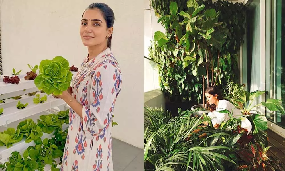 Samantha And Anushka Sharma Show Off Their Love Towards Gardening