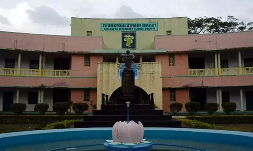 SVVU Tirupati campus.