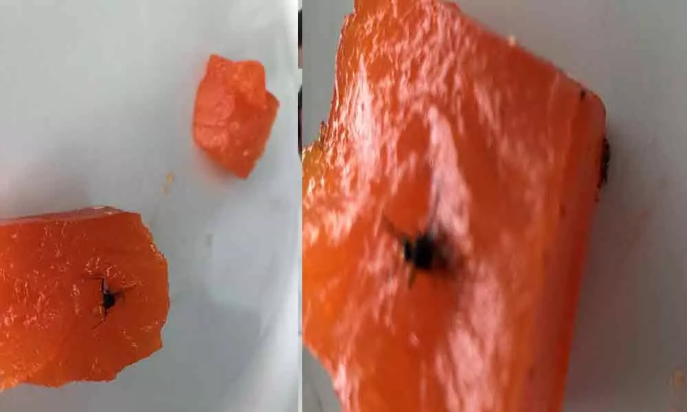 Hyderabad man finds insect in food ordered