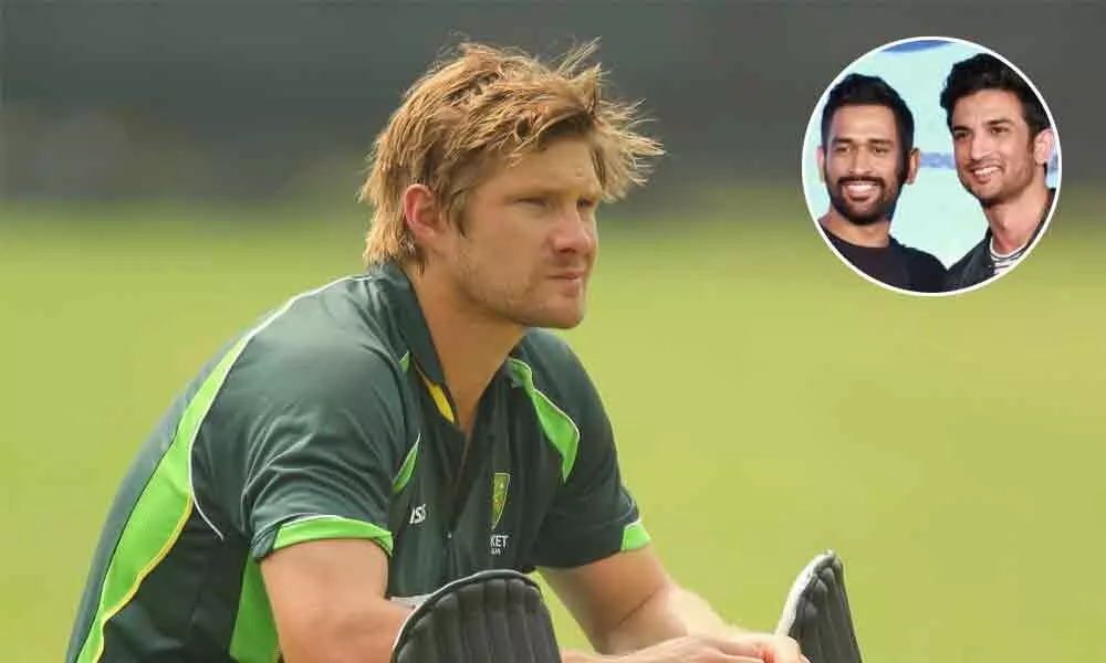 Shane Watson