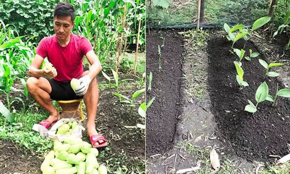Organic farming keeping Gouramangi ‘fresh’ in lockdown