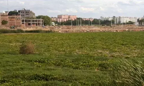 Activists cry foul over lake encroachment