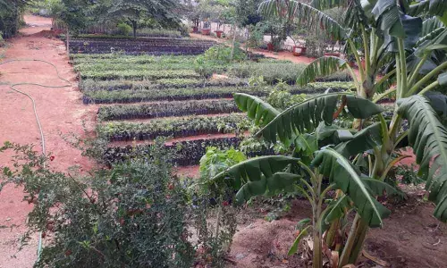 Call for social distancing during Haritha Haram