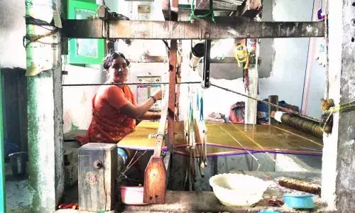 Diversion of handloom park land to house sites opposed