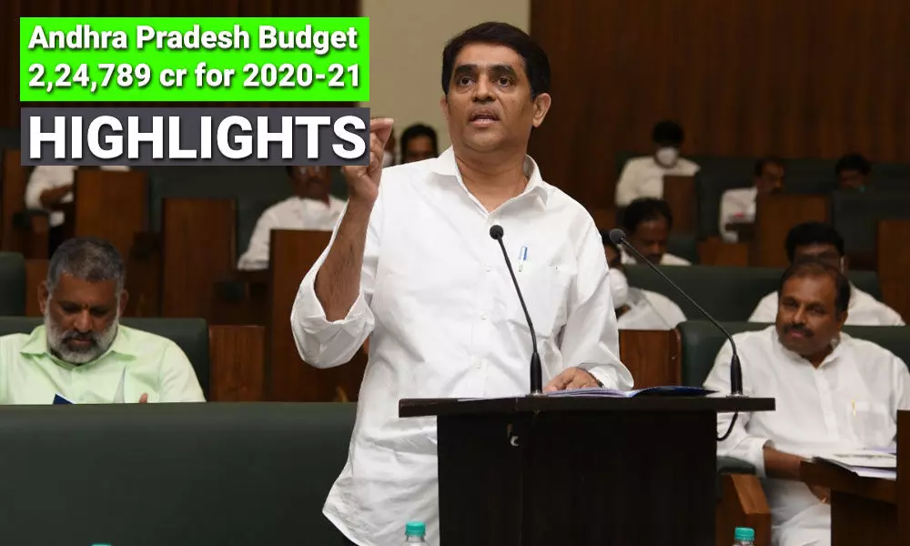 Andhra Pradesh Budget Highlights