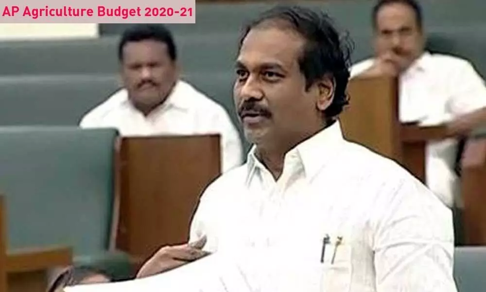 AP Budget 2020: Minister Kanna Babu introduces Agriculture budget, here are allocations