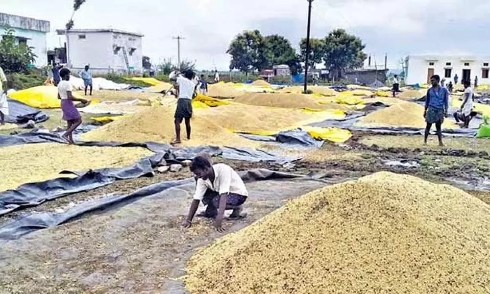 Government to build 1 lakh crop drying platforms across Telangana