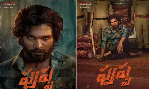 Pushpa faces problems with budget!