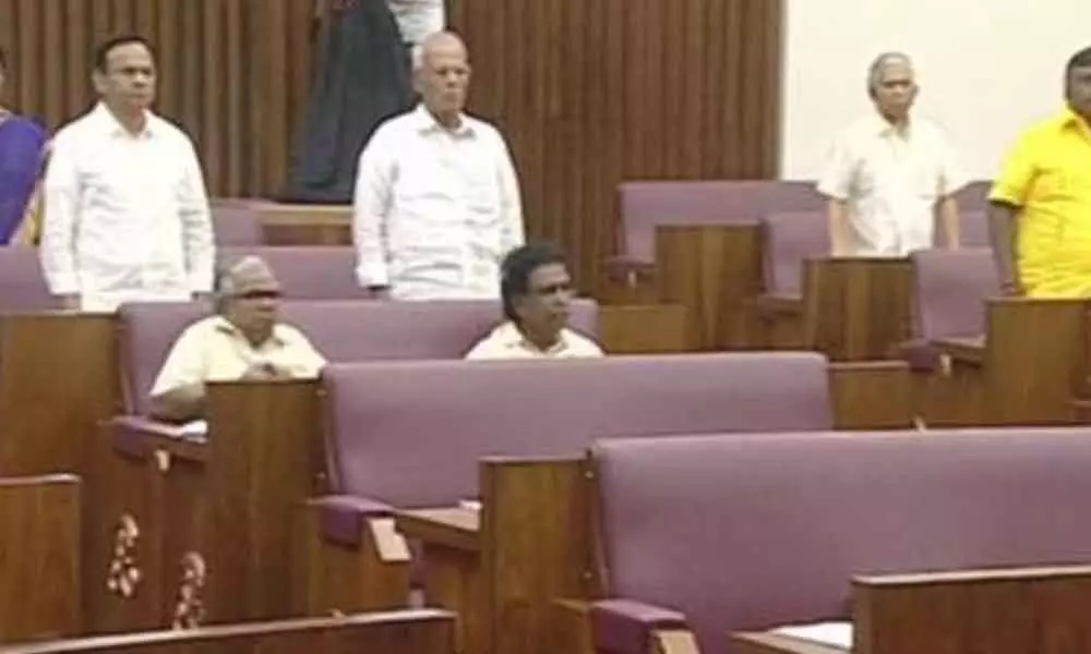 AP Council adjourned sans passing Appropriation Bill