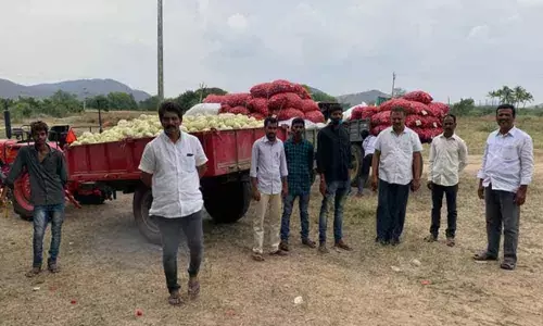 American Telugu Association for Farmers (ATAFF) helps tomato farmers in AP amid crisis