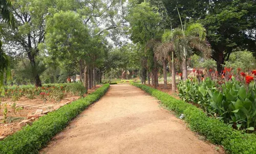 Wait gets longer for park re-opening