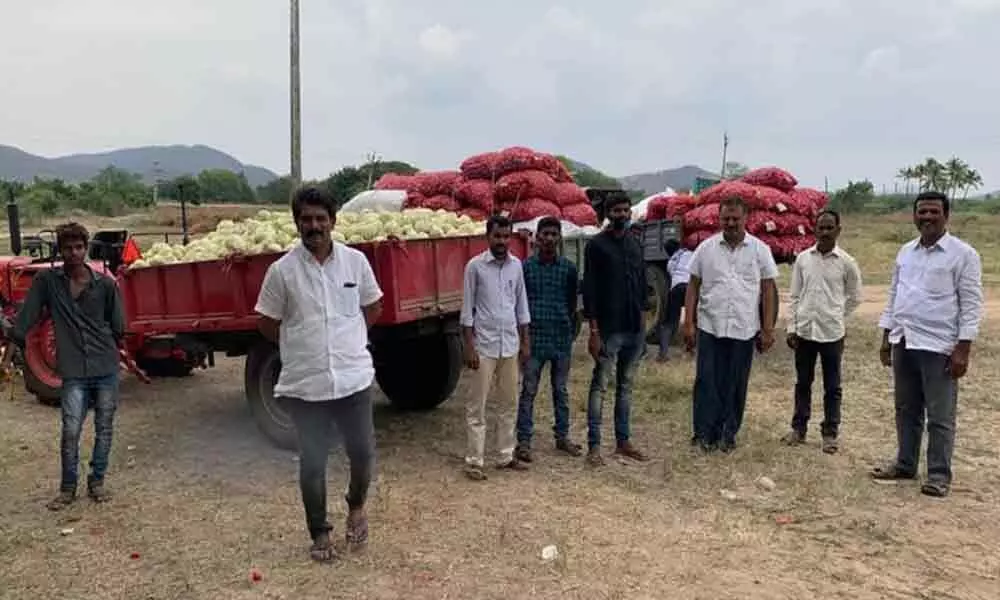 American Telugu Association for Farmers (ATAFF) helps tomato farmers in AP amid crisis