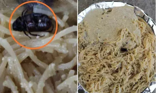 Insect found in breakfast served to Covid patients