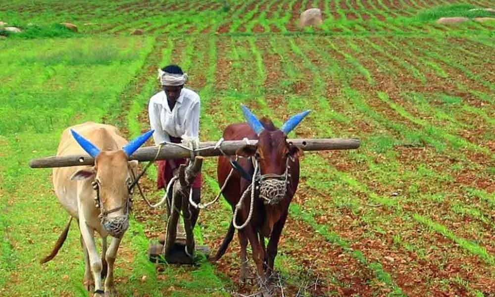 Telangana Government to conduct survey on farmers educational qualification