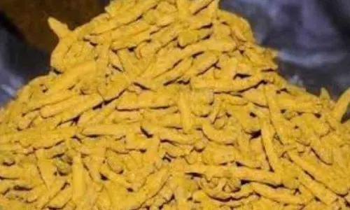 Turmeric stock at Duggirala Agriculture Market Yard