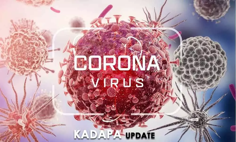 43 COVID-19 positive cases reported in Kadapa