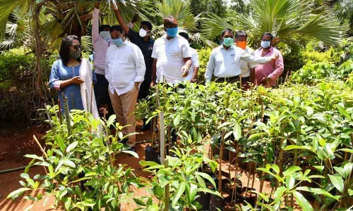 Mayor Bonthu Rammohan