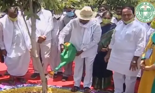 Telangana CM KCR launches phase VI of Haritha Haram in Narsapur