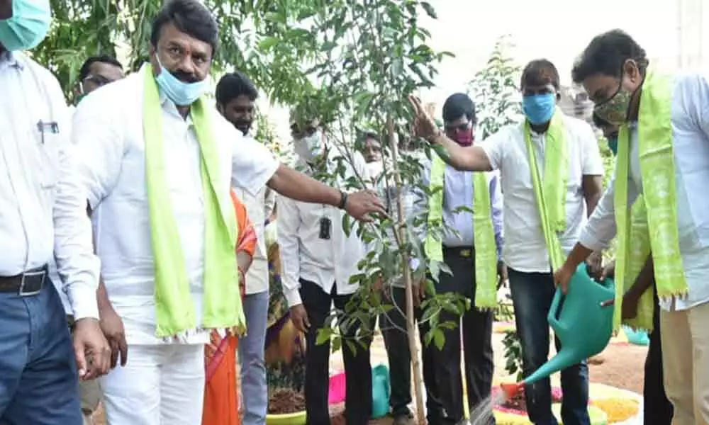 KT Rama Rao kickstarted the sixth phase of Telanganaku Haritha Haram programme today by planting a sapling at GHMC park in Bhoiguda.