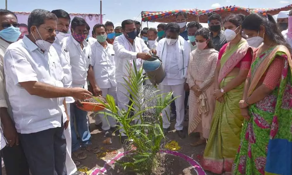 Agriculture Minister S Niranjan Reddy watering a palm oil plant in Singamdoddi mandal on Thursday, after launching 6th phase of Haritha Haram on Thursday