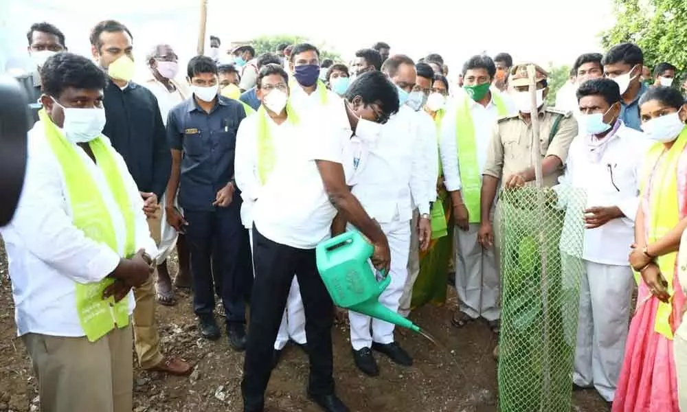 Minister for Transport Puvvada Ajay Kumar watering a sapling after planting it in Khammam on Thursday