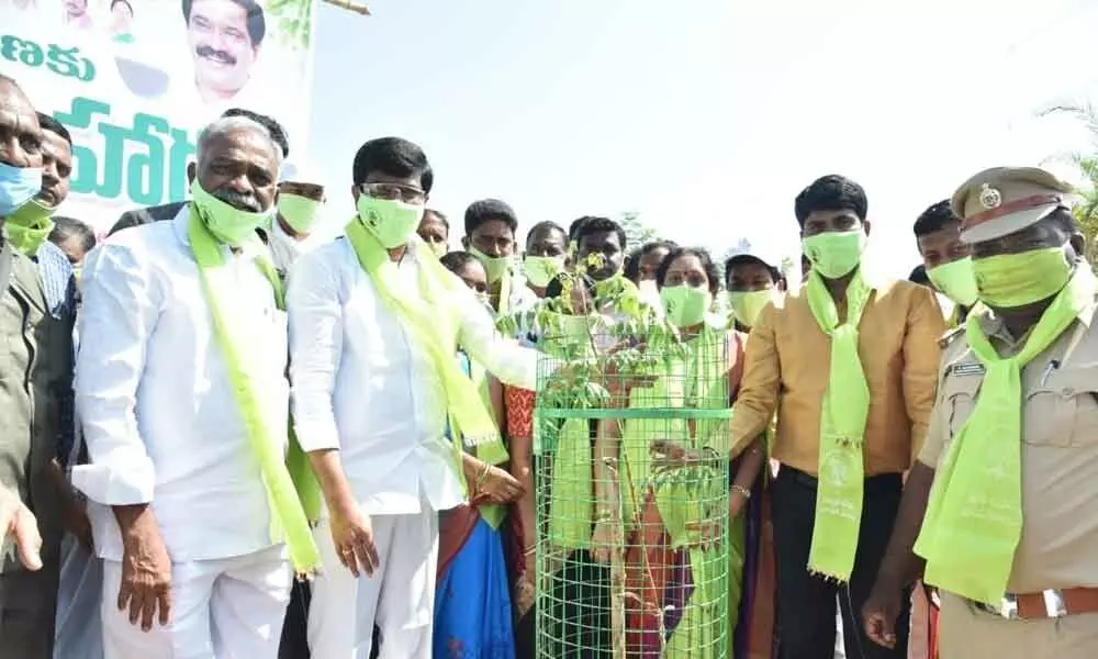 R&B Minister Vemula Prashanth Reddy setting up tree guard to a sapling planted on the premises of new Collector office in Kamareddy on Thursday