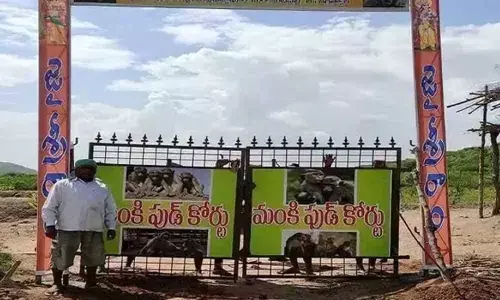 Telangana government to set up monkey food courts across the state as a part of Haritha Haram programme
