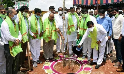 Energy Minister G Jagadish Reddy watering a sapling after planting it near MG University in Nalgonda on Friday.
