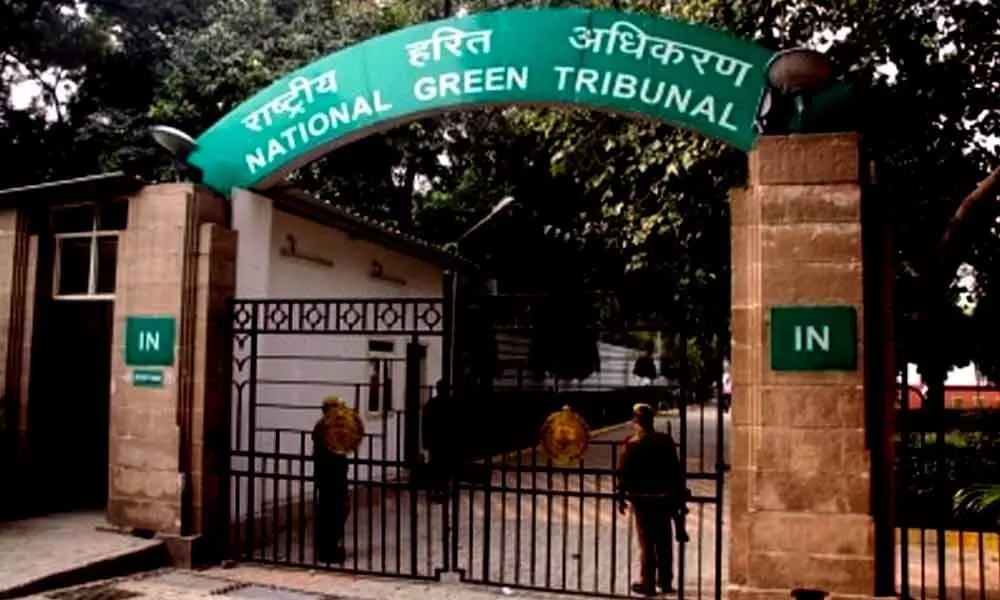 National Green Tribunal