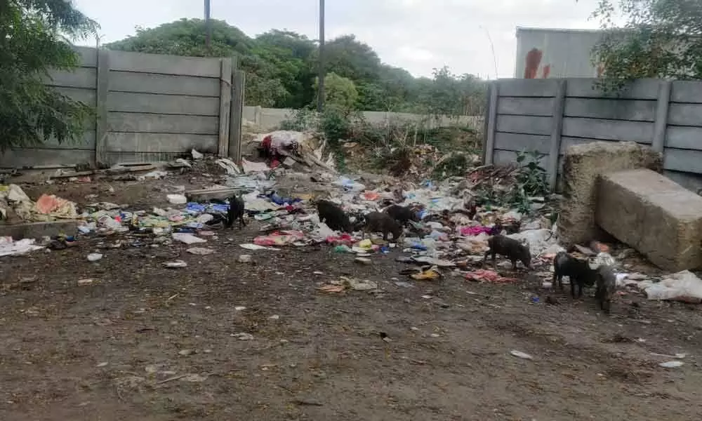 Garbage heaps infuriate locals