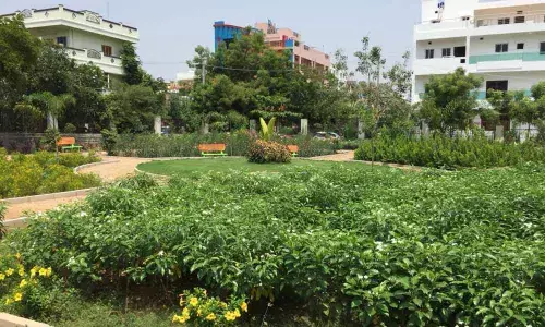 Women-oriented theme parks on the anvil