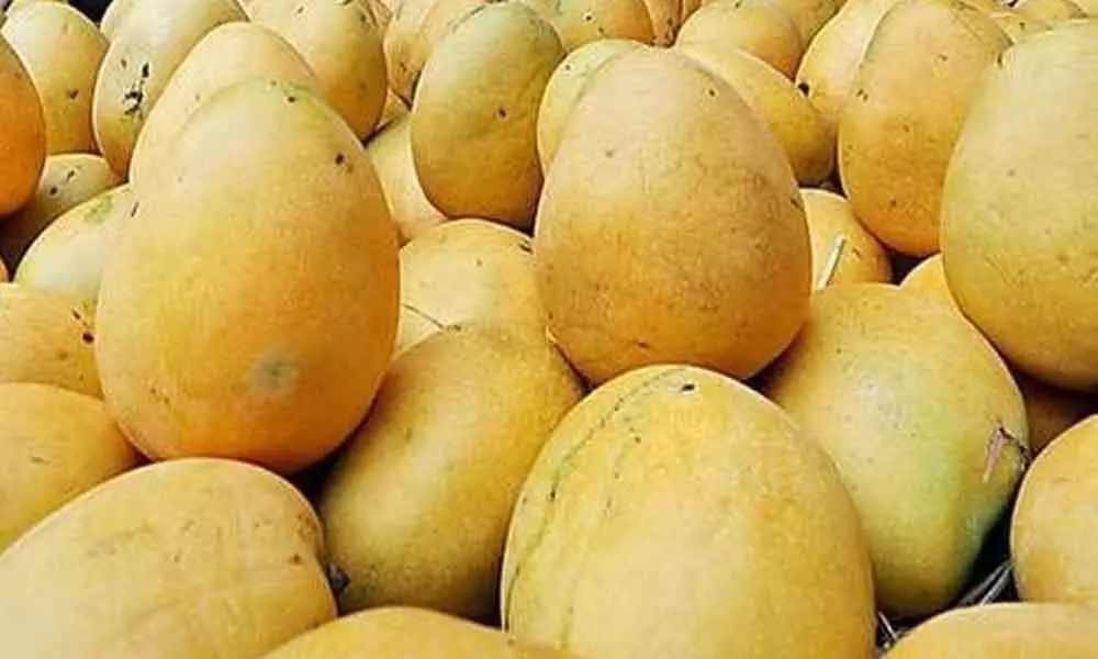 Mango exports take lockdown hit