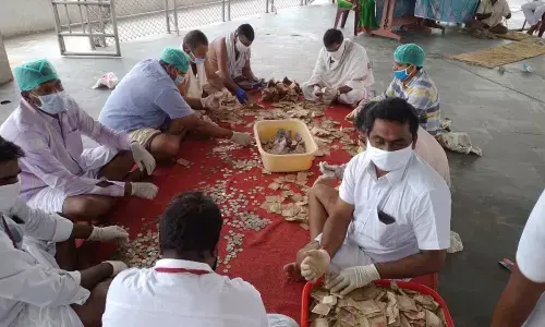 Hundi counting in progress at Annavaram temple