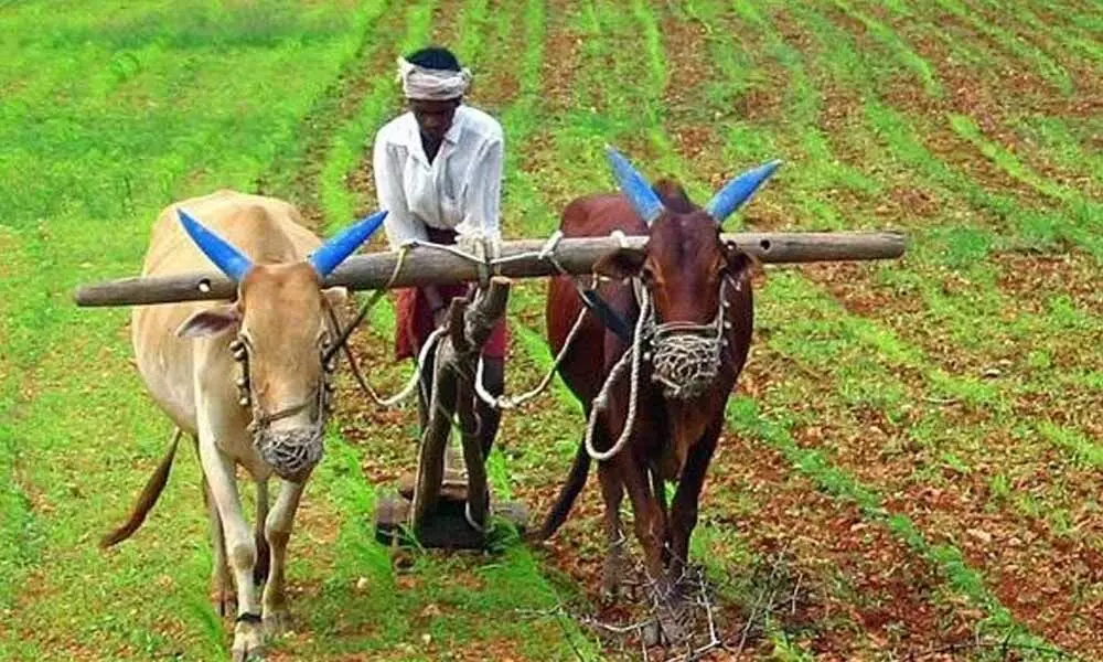 Andhra Pradesh government declares July 8 as Farmers Day