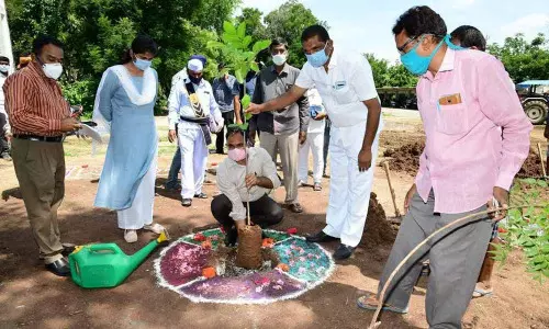 District Collector K Shashanka planting a sapling on the premises of Karimnagar Collectorate on Monday