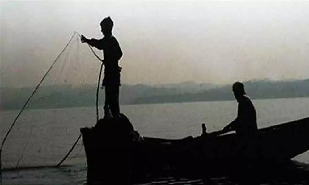 Indias Marine fish output rises marginally