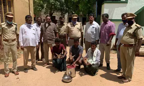 Forest officials nab three persons for selling wildlife meat in Tadimarri reserve forest