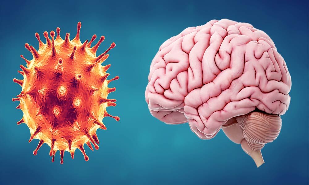 How Coronavirus can infect human brain cells